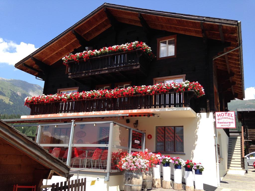 Hotel Haus Muehlebach Ernen Zewnętrze zdjęcie