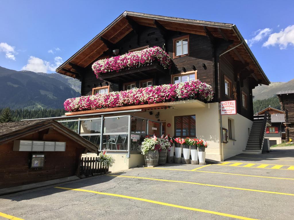 Hotel Haus Muehlebach Ernen Zewnętrze zdjęcie